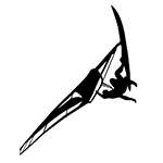 Windsurf